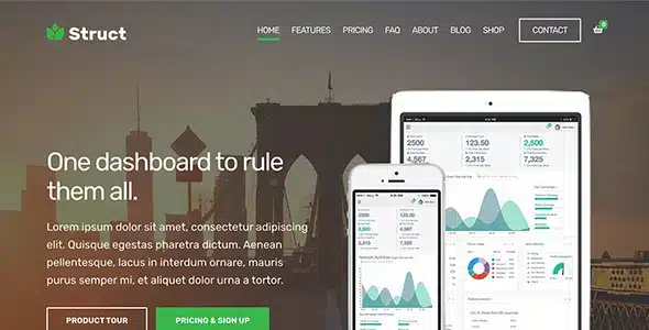 Struct WordPress Theme